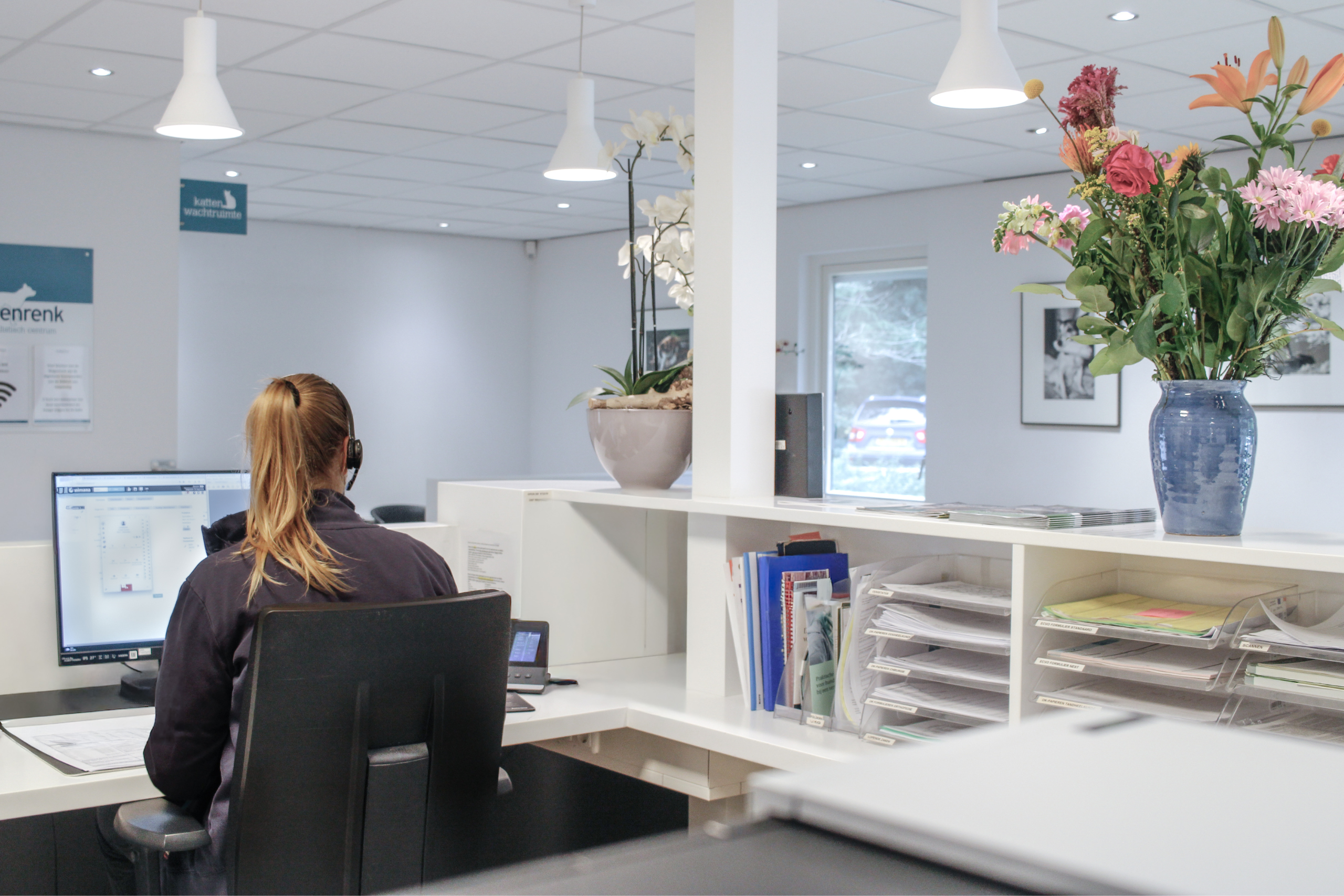 Contact met de Wagenrenk FIP-behandeling-kat