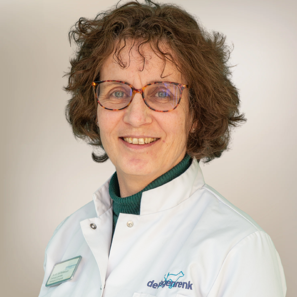 Teamfoto-placeholder